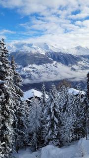 Cosy studio for 4 near ski lift, HAMEAU C13 - Les Collons - 9
