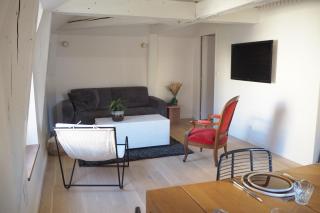 Les baleines - hypercentre 2 chambres avec garage et clim - air conditioning - Grenoble - 9
