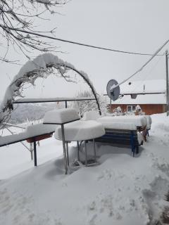 Pensiunea K9 - Răchiţele - 5