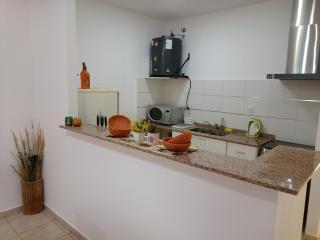 Puna Cuyana - San Martín - 7