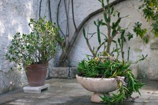 Casa Vacanze Gallipoli Baia Verde - 1