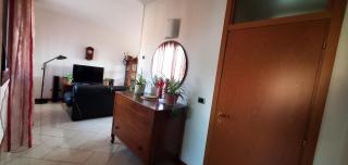 La Mimosa - Dozza - 6