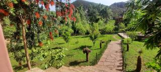 Country homes - Ourika - 0