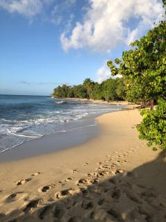 APPARTEMENT "TI NID" Villa Bel Kay Nou - 1