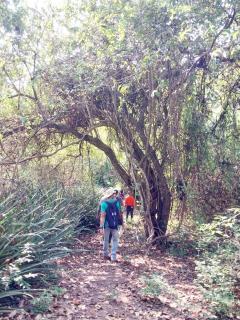 Jardines del Golfo - 1