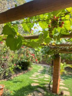 Pousada Verdes Encantos - 4