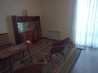 Spacious one bedroom apartment in the city centre - Erevan - 9
