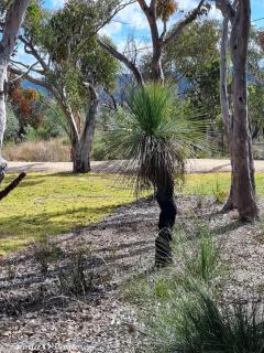 Glen Lough Cabins - 5