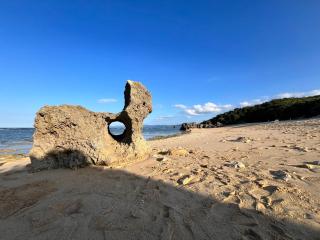 Shiawaseninaru Kourijima no Yado - 3