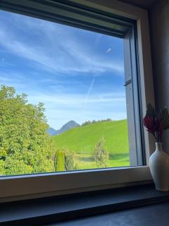 GreenView Appartement - Wiesing - 7