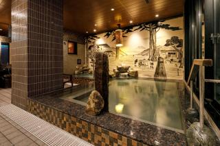 Dormy Inn Express Toyohashi - Toyohashi - 0