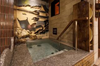 Dormy Inn Express Toyohashi - 6