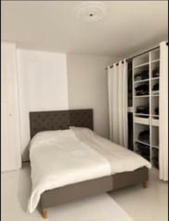 Appartement haussmanien rénové proche centre Lausanne - Lausanne - 1