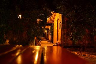 Olympos Yakamoz Pansiyon - Olympos - 8