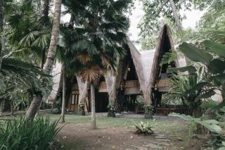 Jungle House Estate - 1