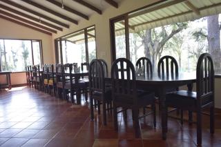 River Valley Resort - Masinagudi - 5