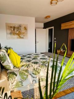 Joy City Stay Cosmopolit 503 - Braşov - 3