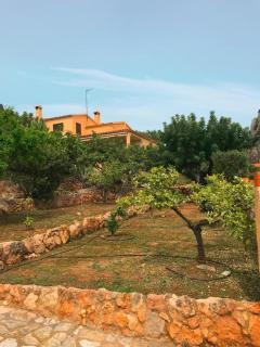 Villa La Torreta Ref056 - Castellón de la Plana - 3