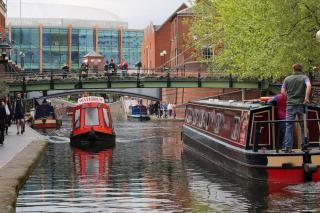 Natural Light City Center Pad - 2