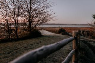 The Harty Estate - 3
