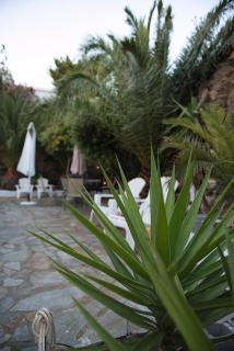 Villa Fiamegou Andros - Batsi - 2