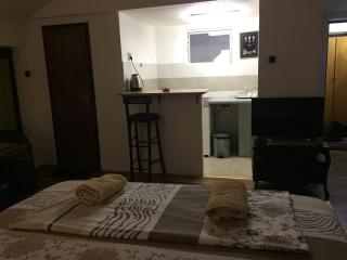 Apartman Birboni Pul ZEMUN - Tošin Bunar - 3
