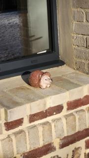 Maison en Normandie "LA HERISSONNERIE" - 2