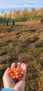 Umfors Camping - 6