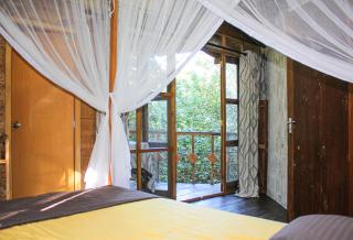 Seasons Four Eco Friendly Treehouse - Matara - 3