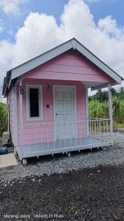 Kabin Pink - Mersing - 2