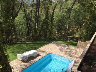 Casa Rural Ermita Santa Maria de la Sierra - Arroyo Frio - 5
