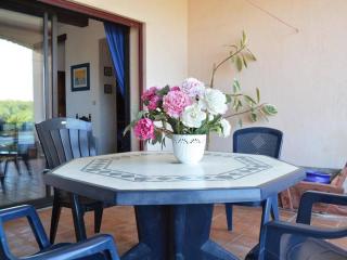 Appartement 3 pièces avec jardinet proche centre Banyuls - FR-1-225C-39 - Banyuls-sur-Mer - 9