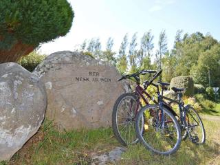 Maison 4 pers avec jardin, wifi et parking 800m de la plage - Pleumeur-Bodou - FR-1-542-39 - Pleumeur-Bodou - 4