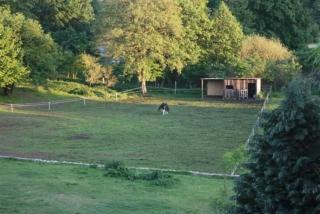 Landhaus Damerow 2 - Federow - 7