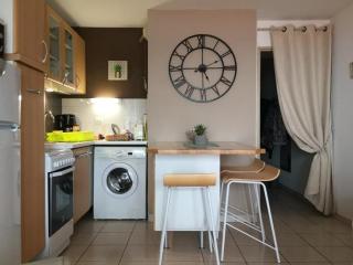 Appartement 2P climatisé avec parking et WIFI à Banyuls-sur-Mer - FR-1-225C-91 - Banyuls-sur-Mer - 4