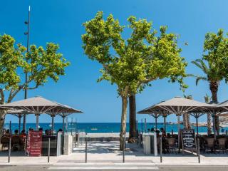 Appartement 2P climatisé avec parking et WIFI à Banyuls-sur-Mer - FR-1-225C-91 - Banyuls-sur-Mer - 2