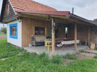 Casa Bunicii - Topliţa - 4