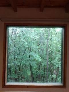 La Casa Del Bosque - 2