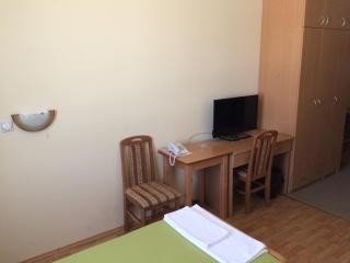 Garni hotel Alma - Pirot - 6
