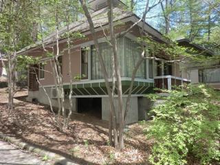 Izumigo Yatsugatake Dog Paradise Cottage - Hokuto - 8