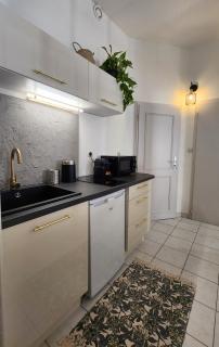 Logement atypique en souplex - Sélestat - 1