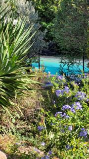 Mas des Marguerites - Maussane les Alpilles - 6