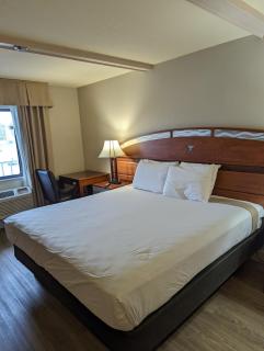 Hotel Monte Carlo - Kissimmee - 9