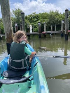 Island Haven: Uncover Blissful Paradise - 2