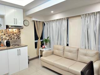 Brand New 2BR Condo in BGC with Wifi Netfix and Disney plus - Manila - 5