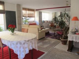 Artistic and spacious loft in a little town near the sea and the city - 7