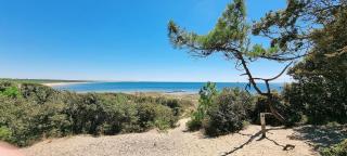 Les Quatre Chênes, Beach House, Vert-Bois Dolus d'Oléron - Dolus-d'Oléron - 9
