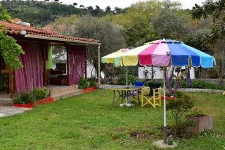 Zina's House - Troulos - 4