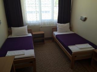 Garni hotel Alma - Pirot - 3