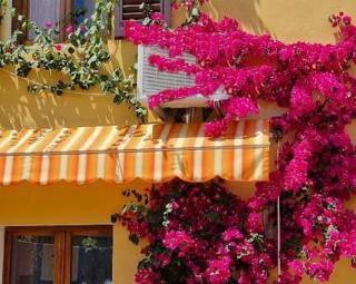 Appartamento in the Heart of Tuscany - Monsummano Terme - 0